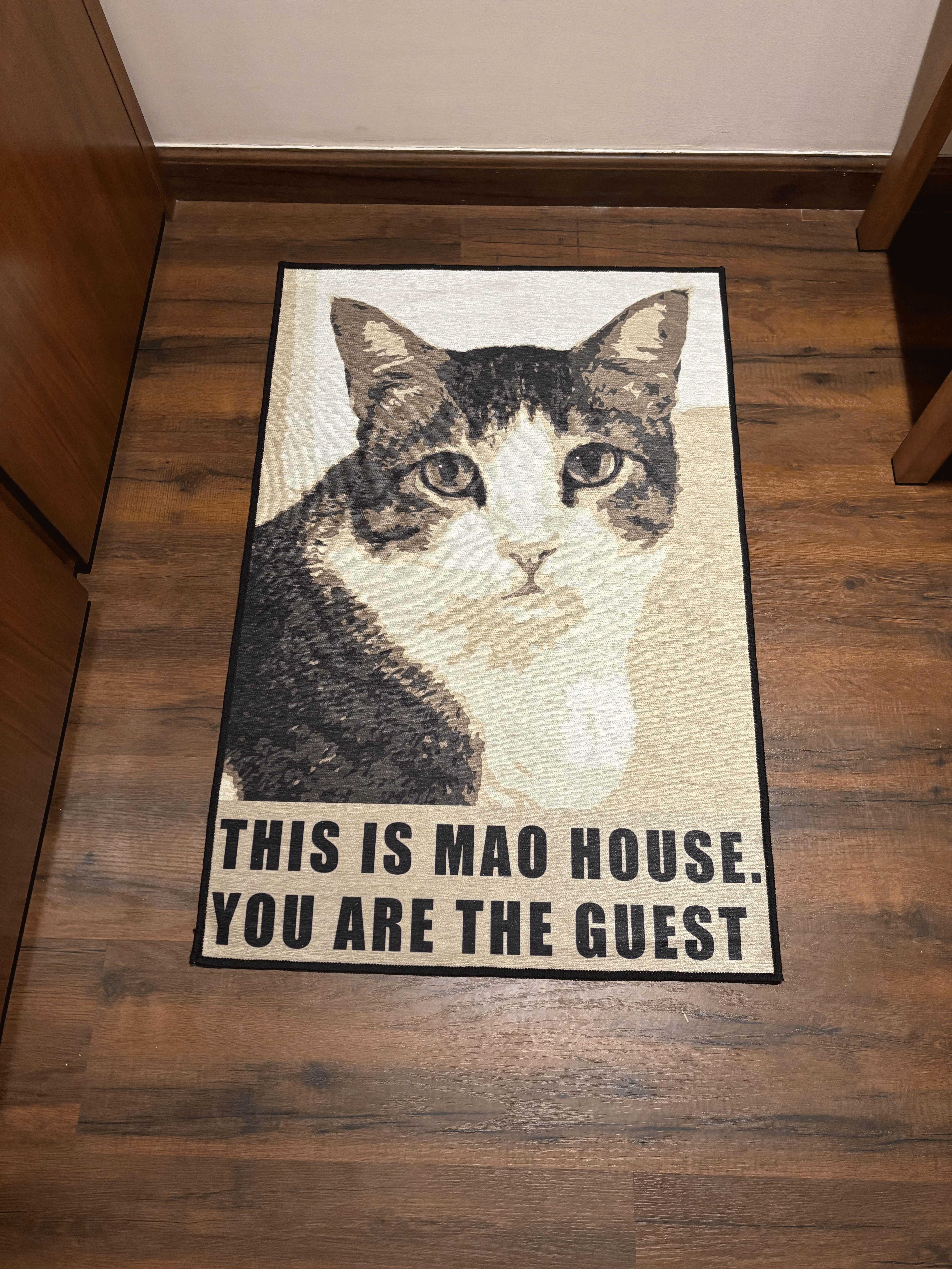 Cat Welcome Door Washable Rug by The Drip Co.