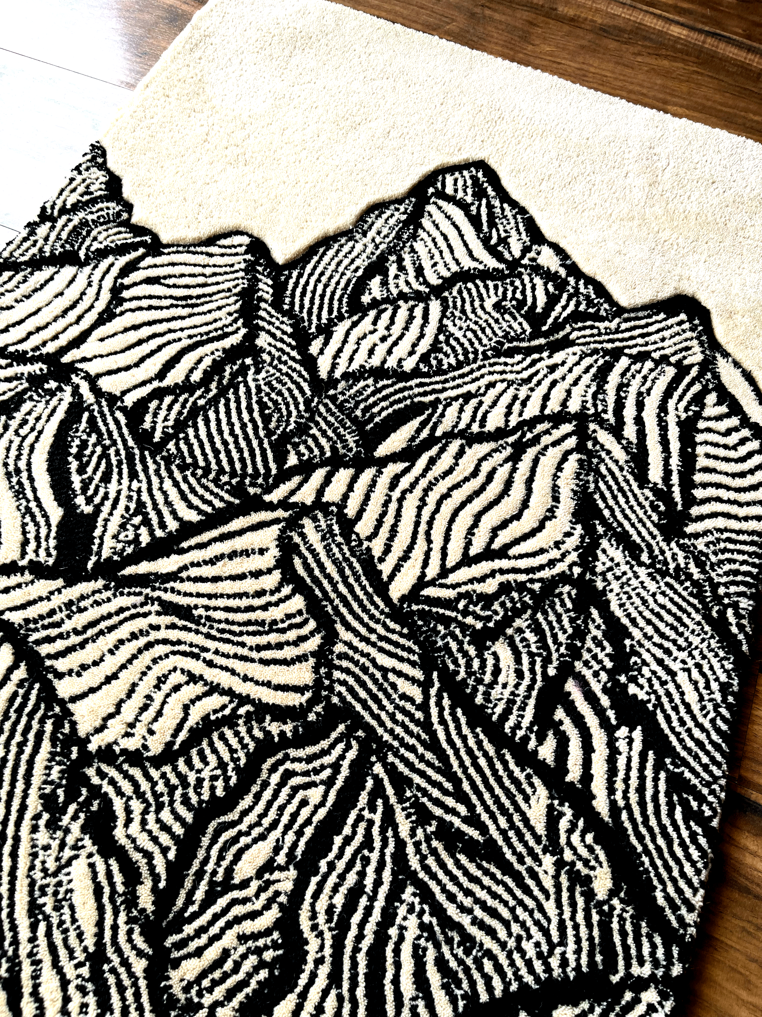 Modern mountain Rug